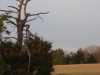 Shady.Grove.Ranch 049